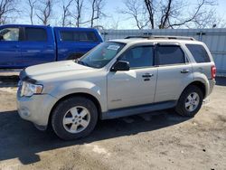 Ford Escape XLT salvage cars for sale: 2008 Ford Escape XLT