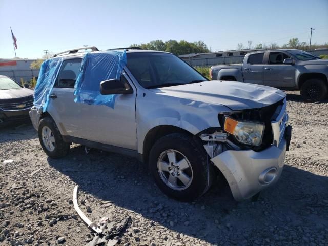 2009 Ford Escape XLT