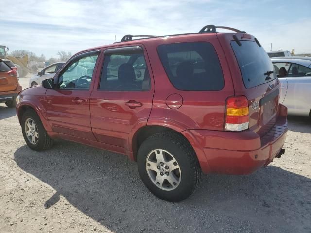 2005 Ford Escape Limited