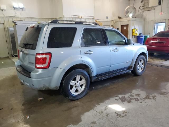 2008 Ford Escape HEV