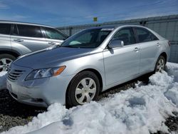 Salvage cars for sale at Reno, NV auction: 2009 Toyota Camry Base