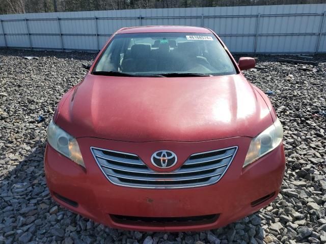 2009 Toyota Camry Hybrid