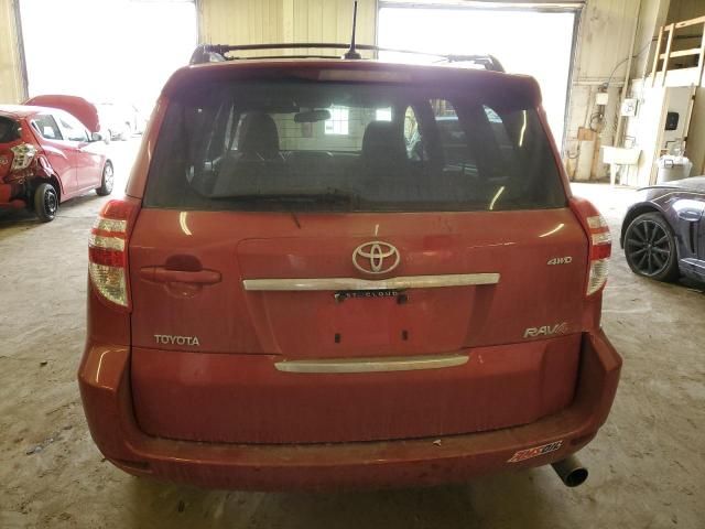 2010 Toyota Rav4 Sport