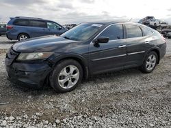 Honda Crosstour salvage cars for sale: 2012 Honda Crosstour EXL