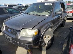 Salvage cars for sale from Copart Martinez, CA: 2006 Ford Escape Limited