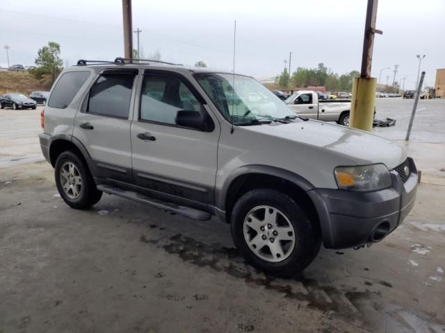 2005 Ford Escape XLT