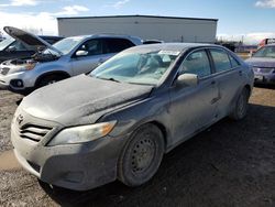 Salvage cars for sale at Rocky View County, AB auction: 2011 Toyota Camry Base