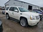 2011 Cadillac Escalade Luxury