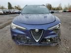 2018 Alfa Romeo Stelvio Quadrifoglio