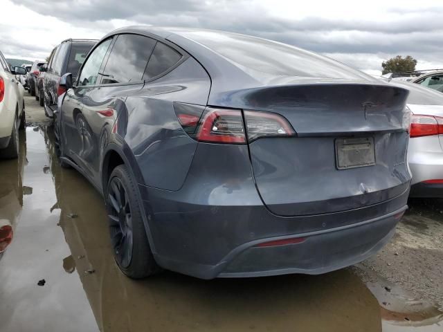 2020 Tesla Model Y