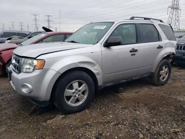 2011 Ford Escape XLT