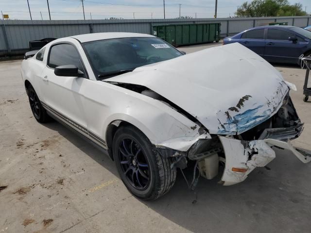 2010 Ford Mustang