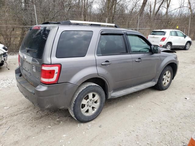 2010 Ford Escape Limited