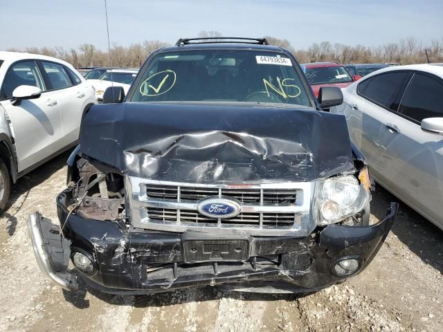 2011 Ford Escape XLT