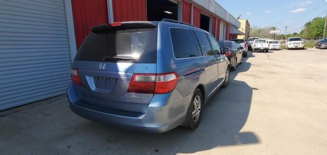 2005 Honda Odyssey EXL