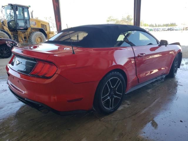 2019 Ford Mustang