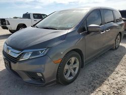 Salvage cars for sale from Copart Houston, TX: 2019 Honda Odyssey EXL