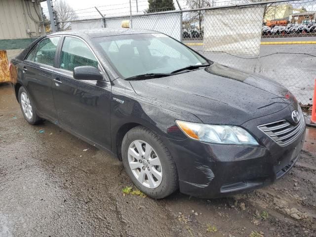 2009 Toyota Camry Hybrid