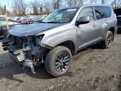 Salvage cars for sale at Marlboro, NY auction: 2023 Lexus GX 460