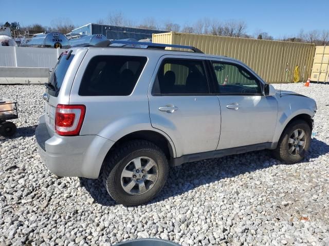 2010 Ford Escape Limited