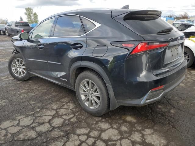 2020 Lexus NX 300H