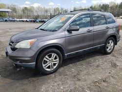 Salvage cars for sale from Copart Charles City, VA: 2010 Honda CR-V EXL