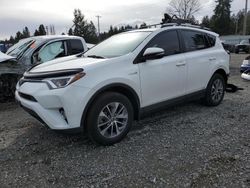 Salvage cars for sale from Copart Graham, WA: 2017 Toyota Rav4 HV LE