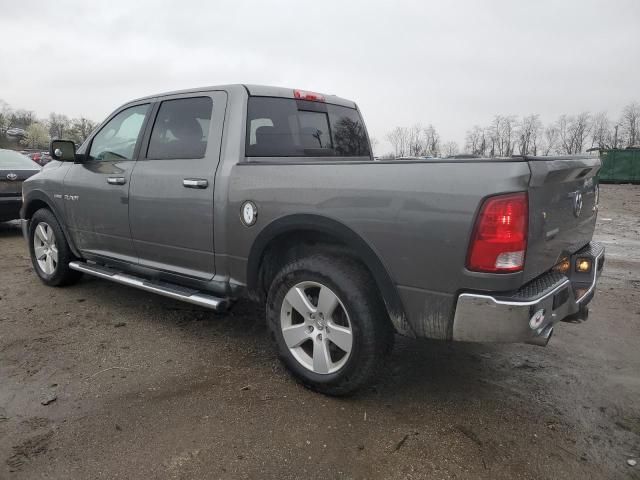 2010 Dodge RAM 1500