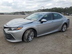 Salvage cars for sale from Copart Greenwell Springs, LA: 2023 Toyota Camry LE