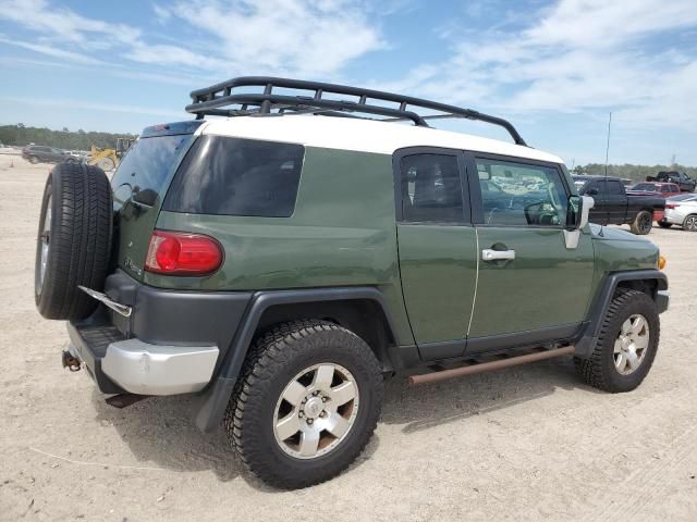 2010 Toyota FJ Cruiser