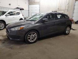 Salvage cars for sale from Copart Candia, NH: 2016 Ford Focus SE