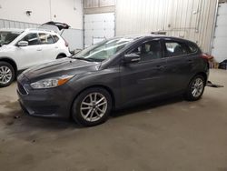 Ford Focus se Vehiculos salvage en venta: 2016 Ford Focus SE