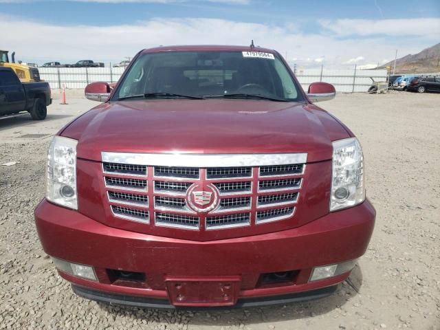 2008 Cadillac Escalade Luxury