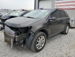 Salvage cars for sale at Louisville, KY auction: 2013 Ford Edge Limited