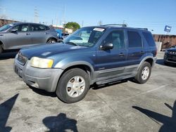 Ford Escape XLT salvage cars for sale: 2001 Ford Escape XLT