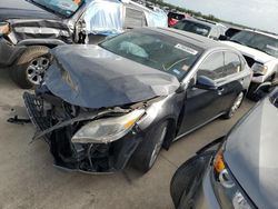 Salvage cars for sale at Wilmer, TX auction: 2013 Toyota Avalon Base