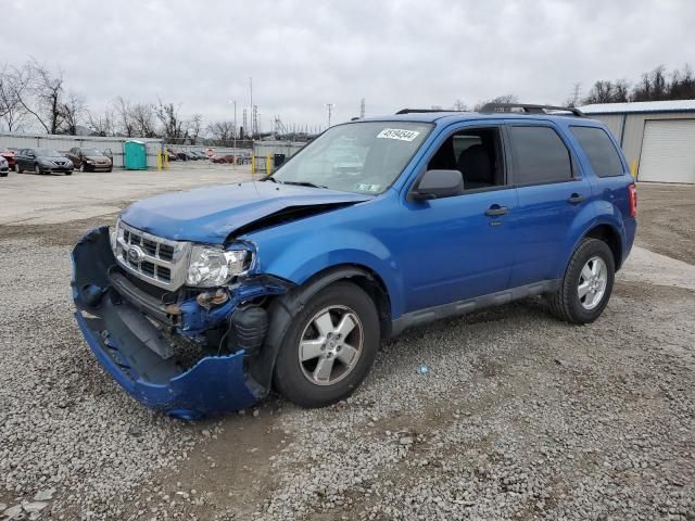 2011 Ford Escape XLT