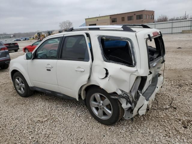 2010 Ford Escape Limited