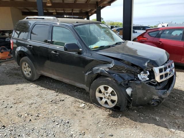 2011 Ford Escape Limited