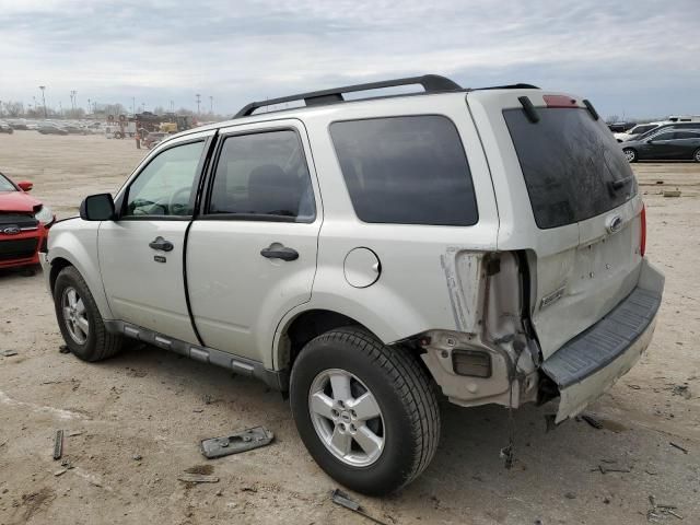 2009 Ford Escape XLT