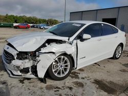 Salvage cars for sale at Apopka, FL auction: 2019 Ford Fusion SE
