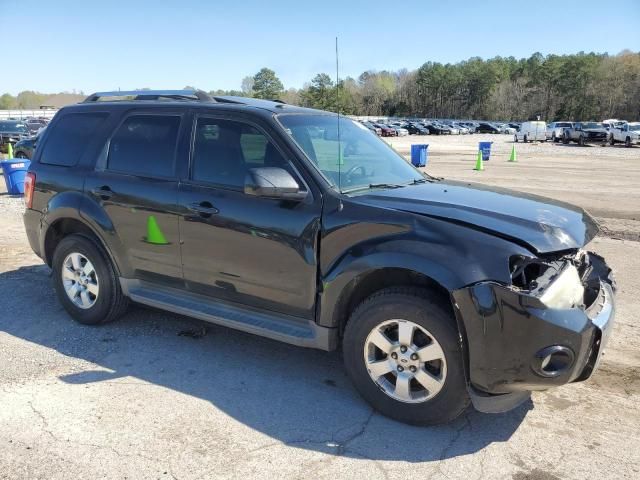 2011 Ford Escape Limited