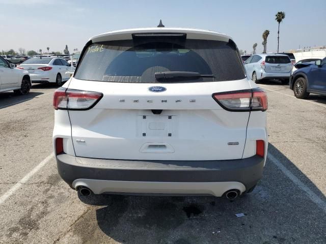 2020 Ford Escape SE Sport