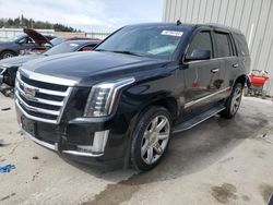 Vandalism Cars for sale at auction: 2015 Cadillac Escalade Luxury