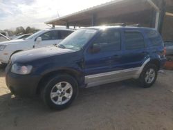 Ford Escape salvage cars for sale: 2007 Ford Escape XLT