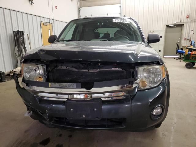 2008 Ford Escape XLT