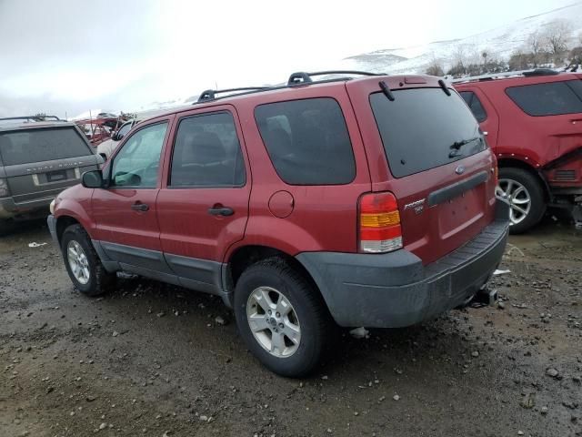 2005 Ford Escape XLT