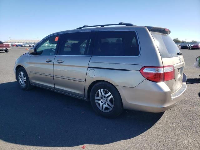 2005 Honda Odyssey EXL