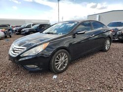 Vehiculos salvage en venta de Copart Phoenix, AZ: 2013 Hyundai Sonata SE