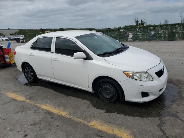 2010 Toyota Corolla Base